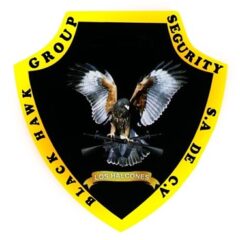 BlackHawk Group Security